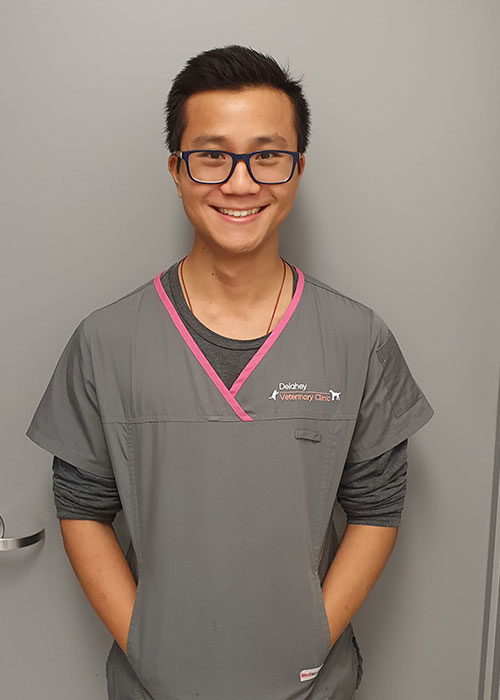 Dr Steven Yang
